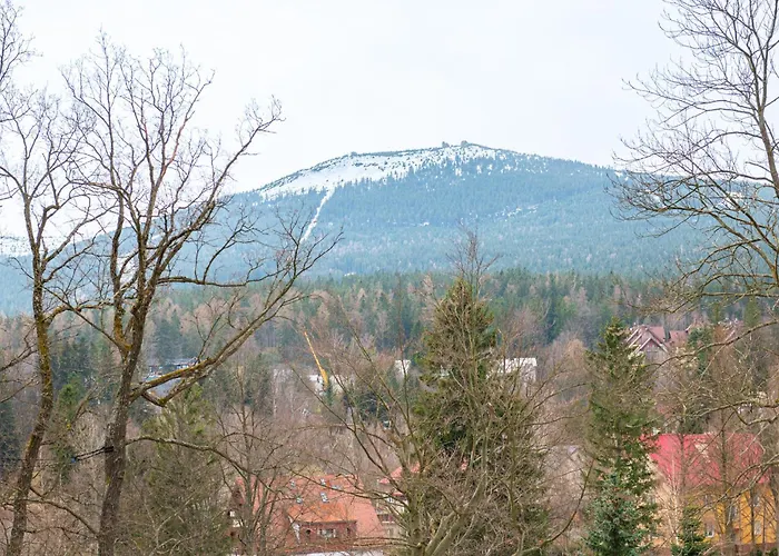 Apartment Dream View